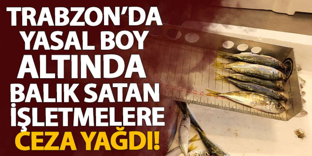 Trabzon’da yasal boy altında balık satan işletmelere ceza yağdı!