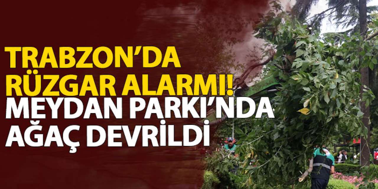 Trabzon’da rüzgar alarmı! Meydan Parkı’nda ağaç devrildi