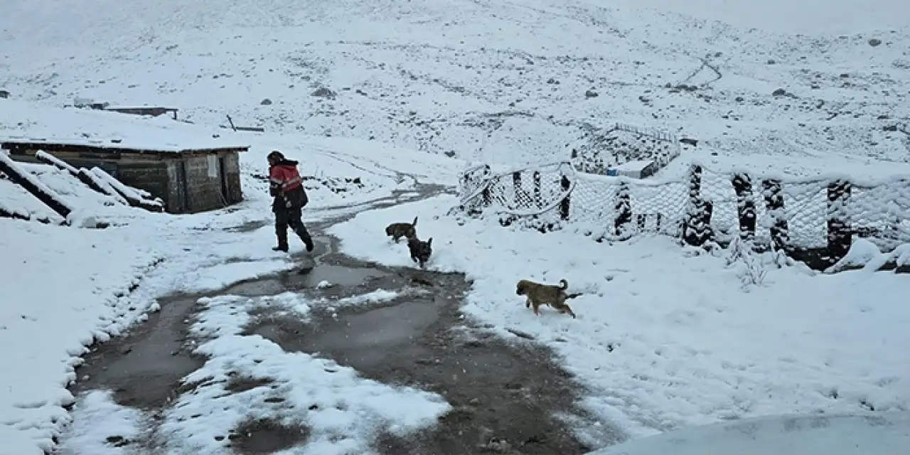 Karadeniz'de kar etkili oldu! 10 santimetreyi buldu