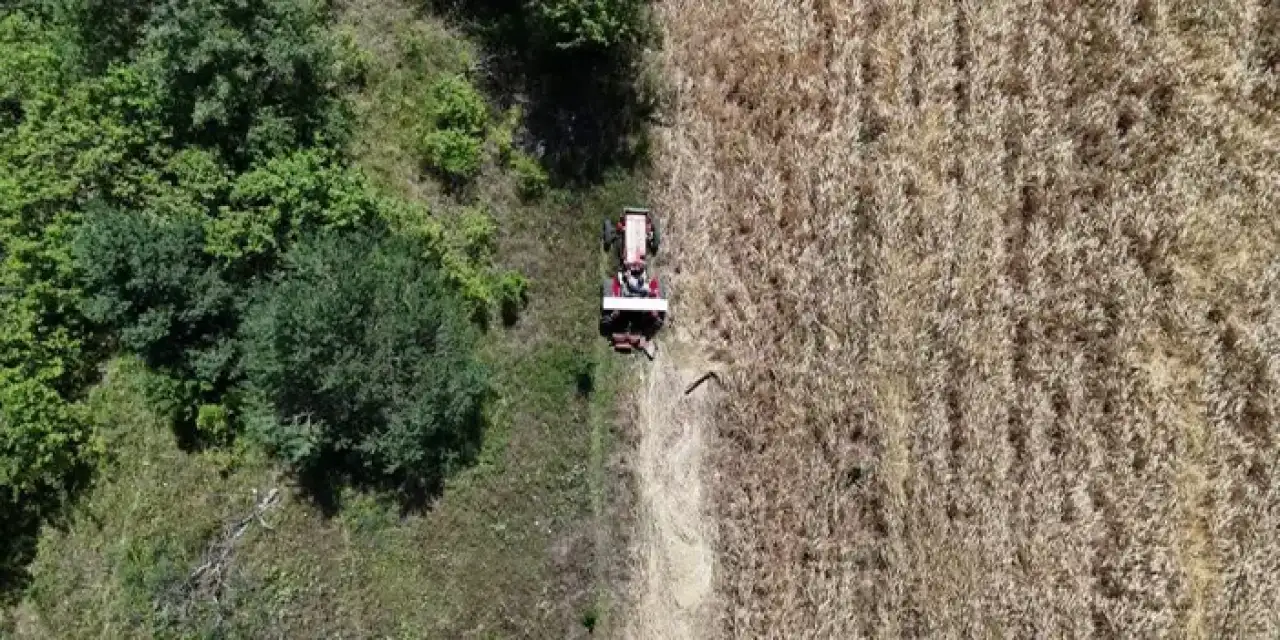 İstanbul'dan Ordu'ya döndü atıl araziye can verdi!
