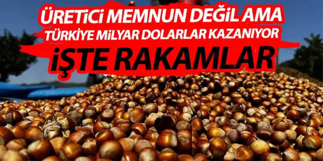 Üretici memnun değil ama Türkiye fındıktan Milyar dolarlar kazandı! İşte o rakam