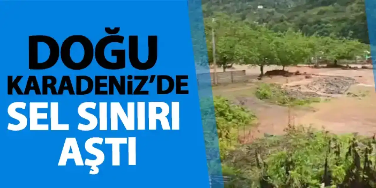 Doğru Karadeniz'de sel sınırları aştı! Gürcistan'a ulaştı