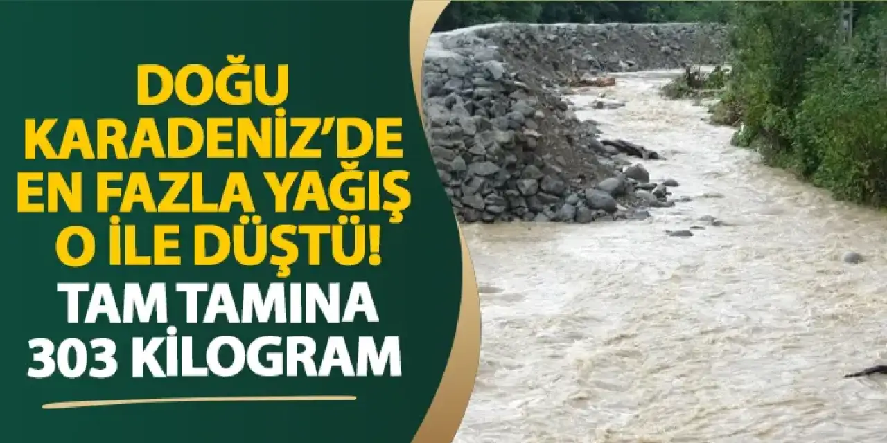Doğu Karadeniz’de en fazla yağış o ile düştü! Tam tamına 303 kilogram