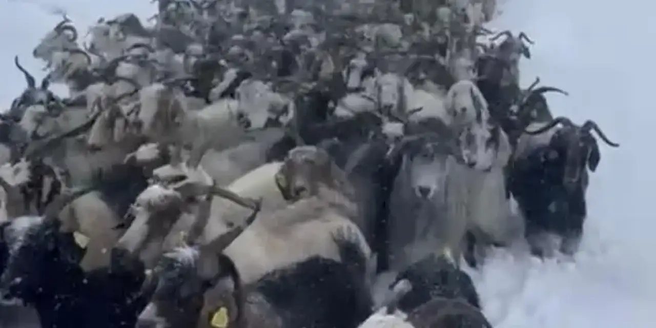 Rize’de kar sonrası mahsur kaldılar!