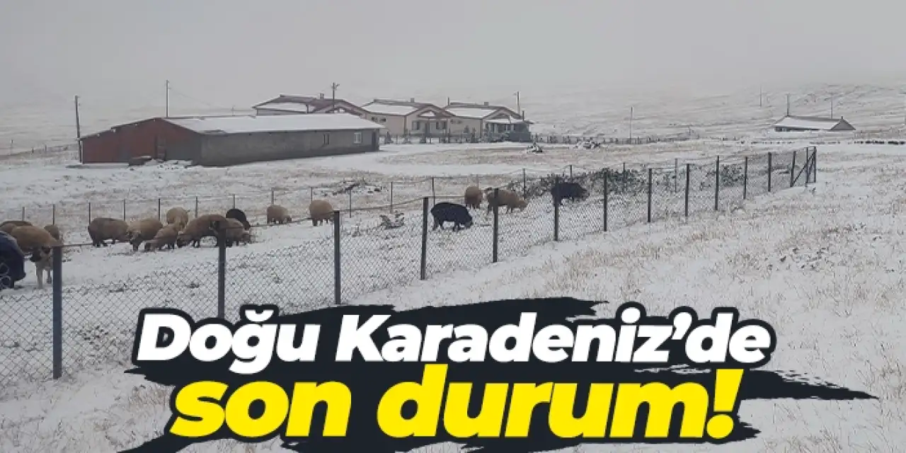 Doğu Karadeniz beyaza büründü!