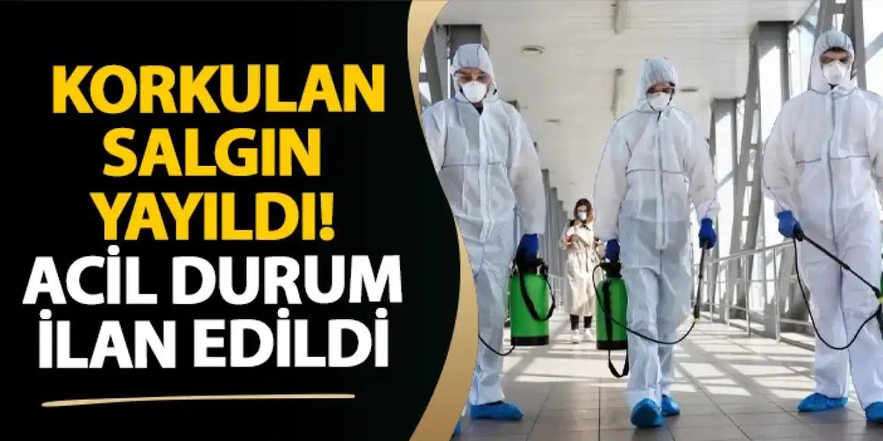 Korkulan salgın yayıldı! Acil durum ilan edildi