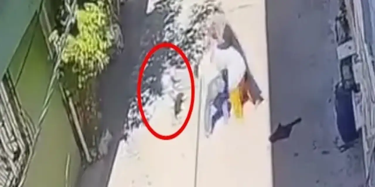 Bursa'da 3 kadın kucağında bebeği olan anneyi darbetti!