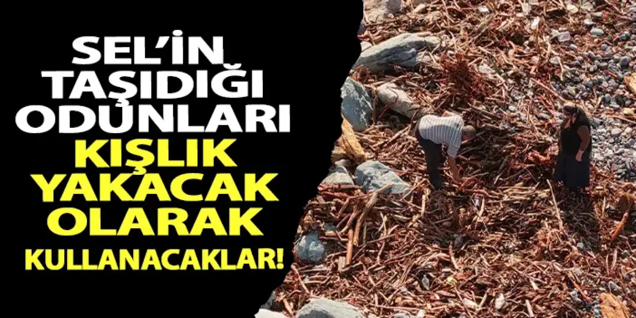 Rizelilerin kışlık yakacağı sahile vuran ağaç kütüğü ve odunlar oldu