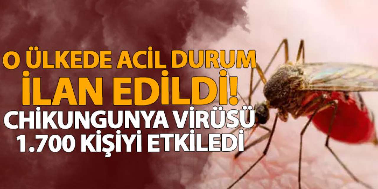 O ülkede acil durum ilan edildi! Chikungunya virüsü 1.700 kişiyi etkiledi