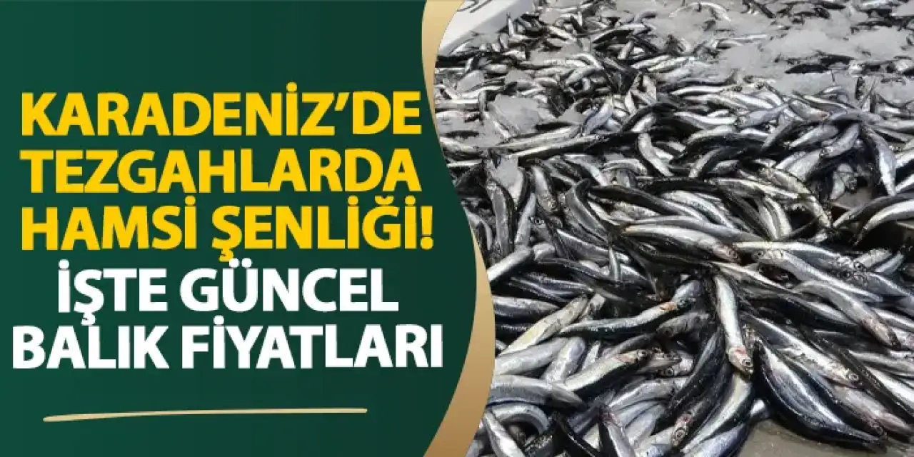 Karadeniz’de tezgahlarda hamsi şenliği! İşte güncel balık fiyatları