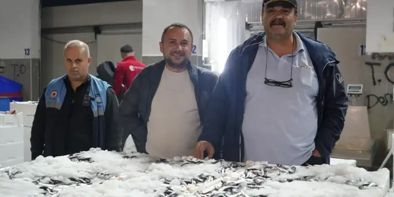 Samsun'da balık mezadında hareketlilik yaşandı!