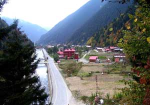 Oktay Saral'ın isyanı