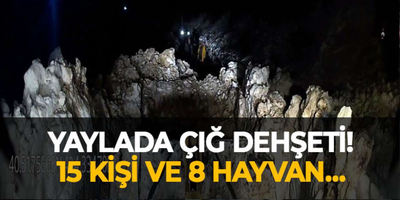 Yaylada çığ dehşeti! 15 kişi ve 8 hayvan…
