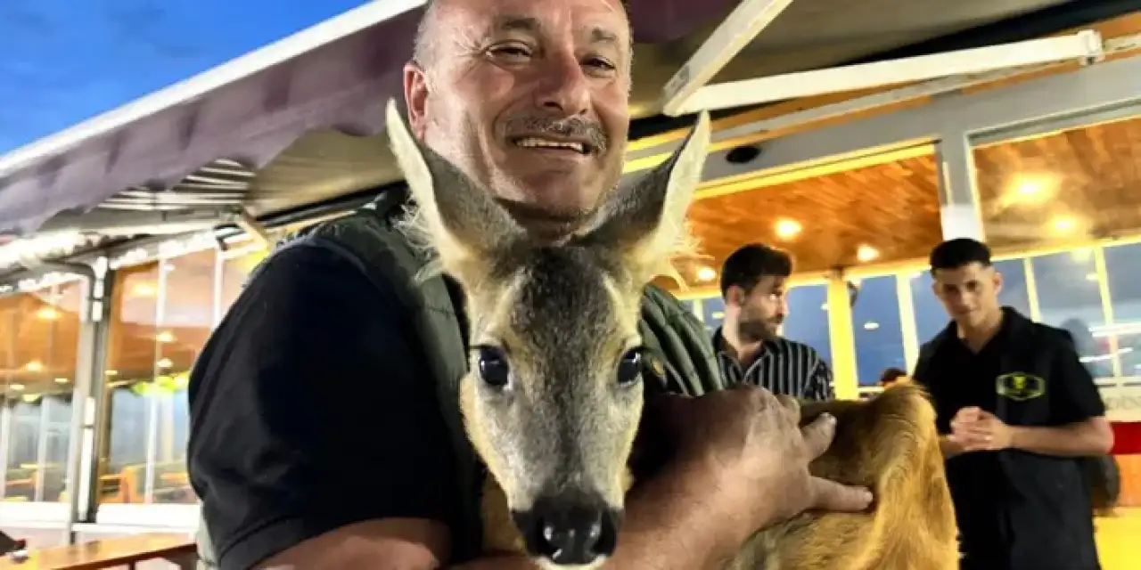 Trabzon’un karacası Pınar işletmenin maskotu haline geldi!