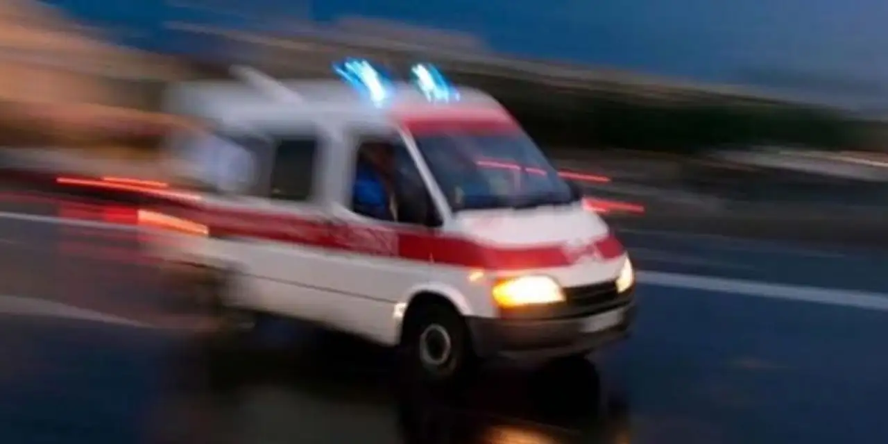 Rize’de feci olay! Ağaç keserken hayatını kaybetti