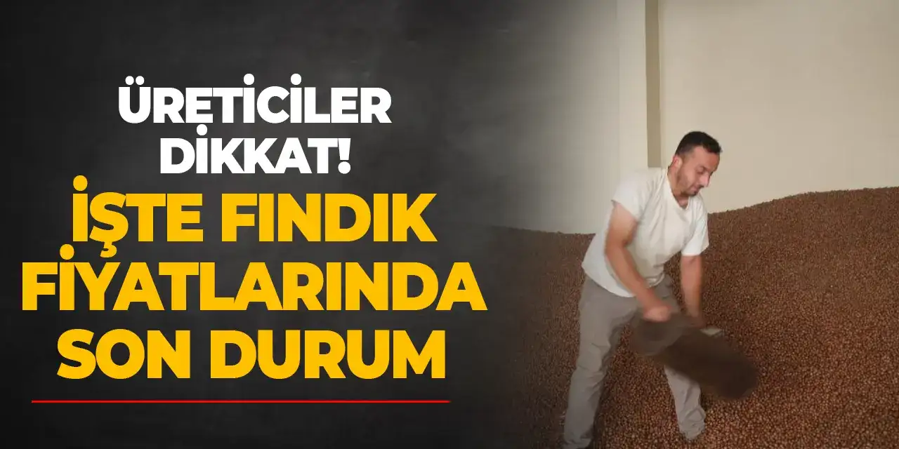 Üreticiler dikkat! İşte fındık fiyatlarında son durum