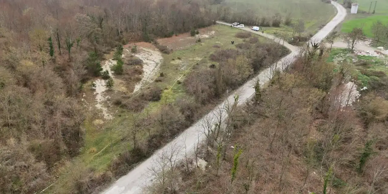 Samsun’da hayvan barınağı tartışması sürüyor! Açıklama geldi