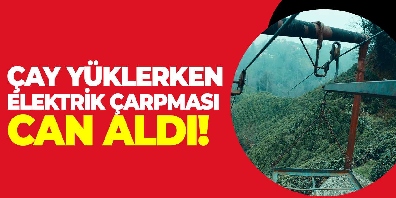 Çay yüklerken elektrik çarpması can aldı!