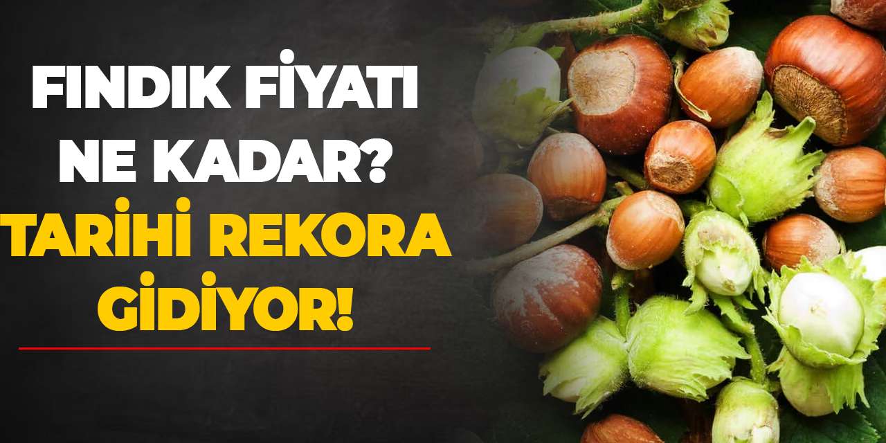 Fındık fiyatı ne kadar? Tarihi rekora gidiyor!