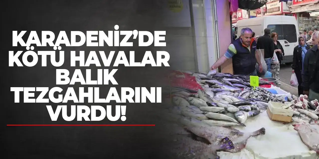 Karadeniz’de kötü havalar balık tezgahlarını vurdu!