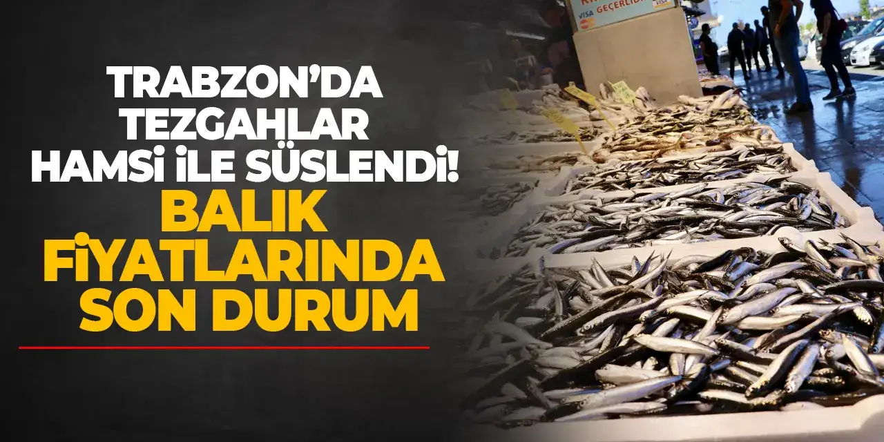 Trabzon’da tezgahlar hamsi ile süslendi! Balık fiyatlarında son durum