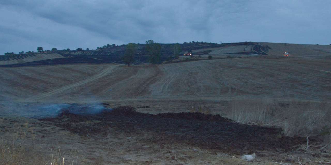 Samsun Havza’da çıkan anız yangını söndürüldü!