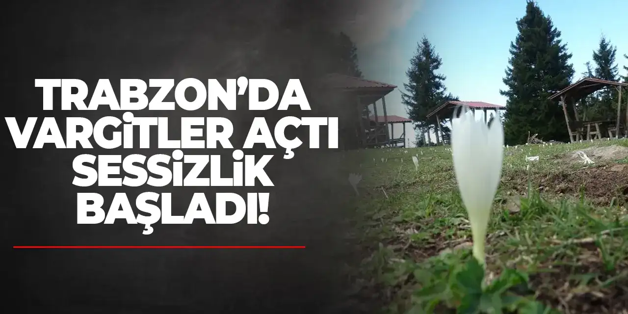 Trabzon’da vargitler açtı sessizlik başladı!