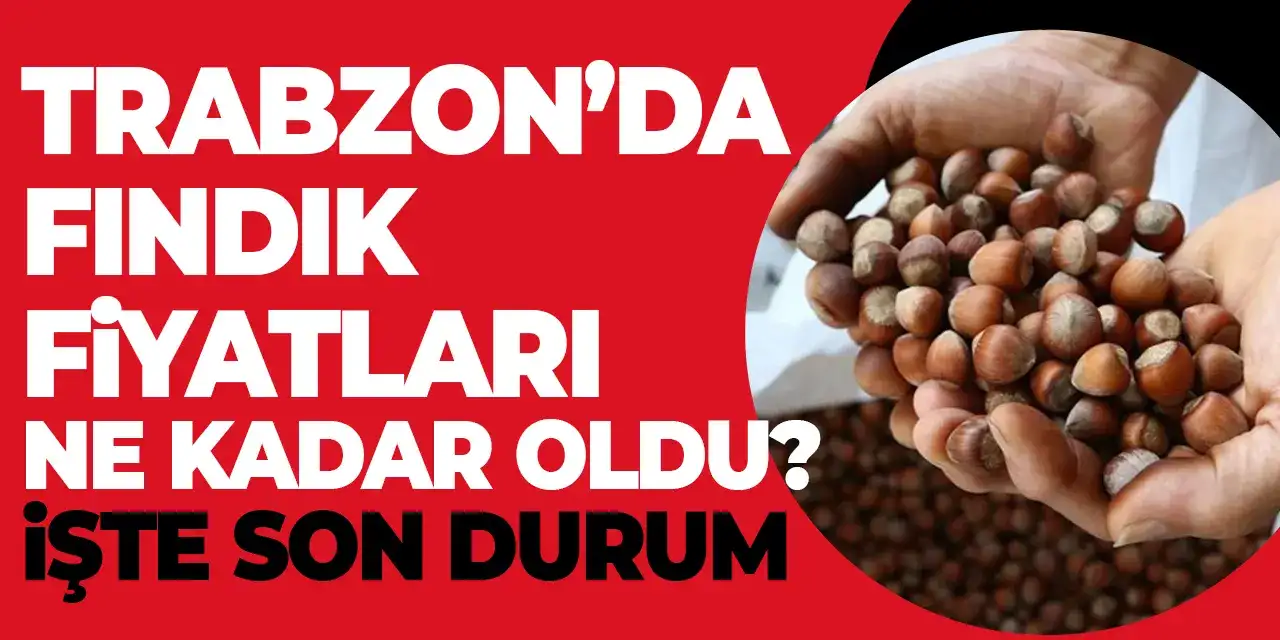 Trabzon fındık fiyatı 29.09.2025, Trabzon’da fındık fiyatı ne kadar? Fındık ne kadar oldu? Fındık fiyatlarında son durum