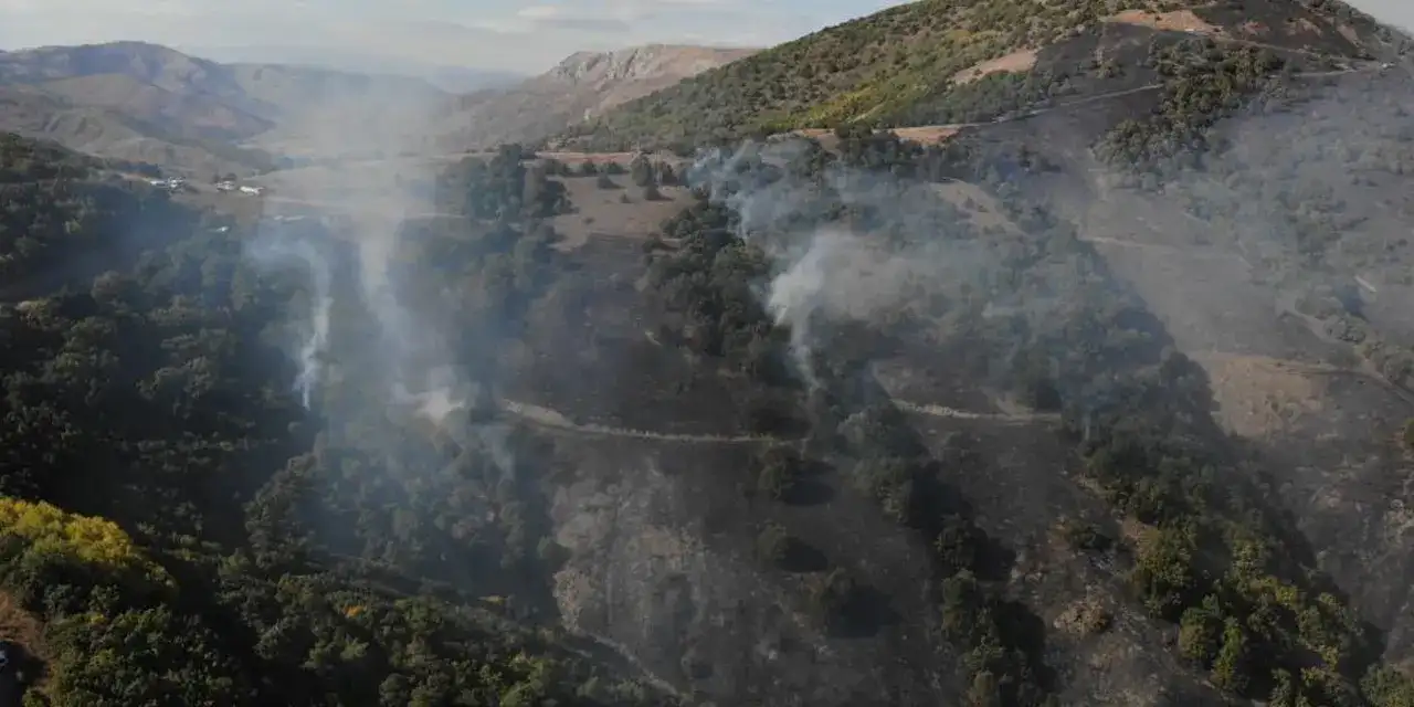 Gümüşhane’de orman yangını! 30 hektar küle döndü