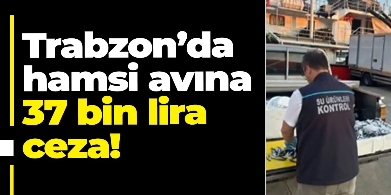 Trabzon’da hamsi avında usulsüzlüğe 37 bin 770 TL ceza!