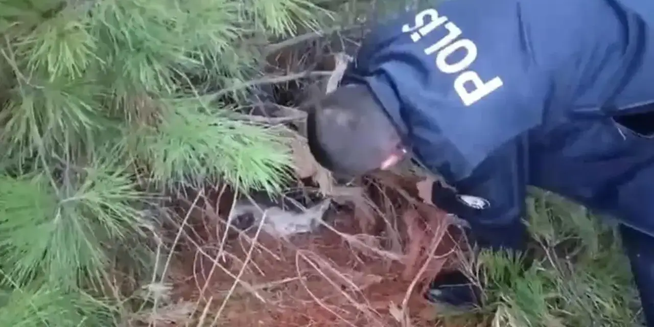 Samsun’da kaçak avlanan şahıs tuzağı ile yakalandı