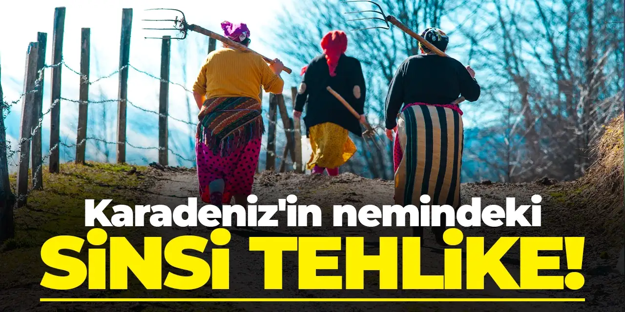 Karadeniz'in nemindeki sinsi tehlike! Hayvancılığı bırakmazsa hastalık ilerliyor