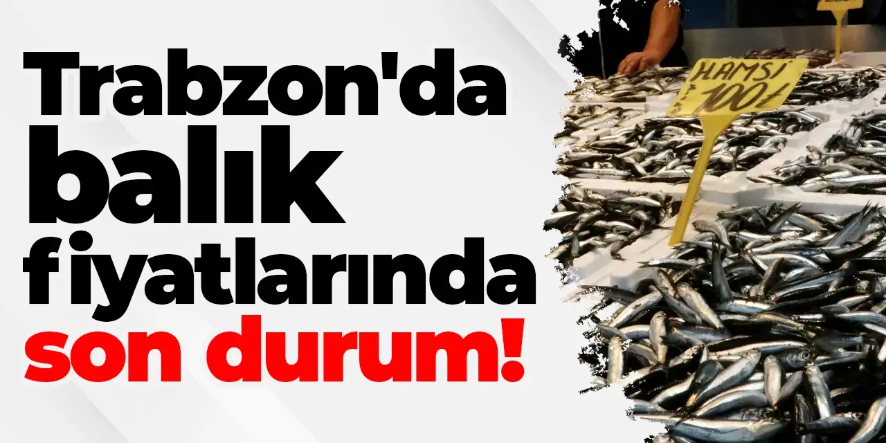Trabzon'da balık fiyatlarında son durum! Hamsi ne kadar?