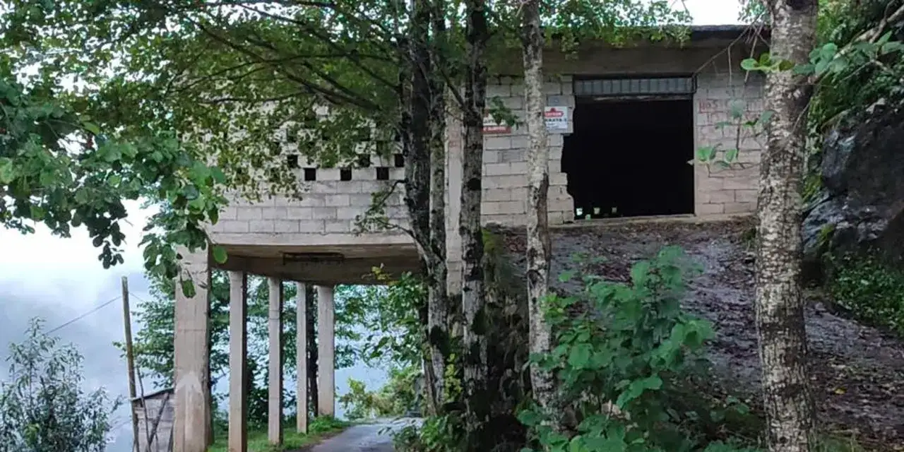 Rizeli zekâsı iş başında! Çay alım yeri yolun üstünde