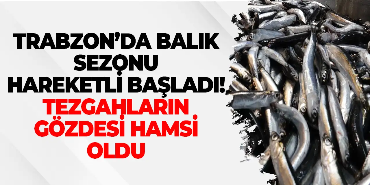 Trabzon’da balık sezonu hareketli başladı! Tezgâhların gözdesi hamsi oldu