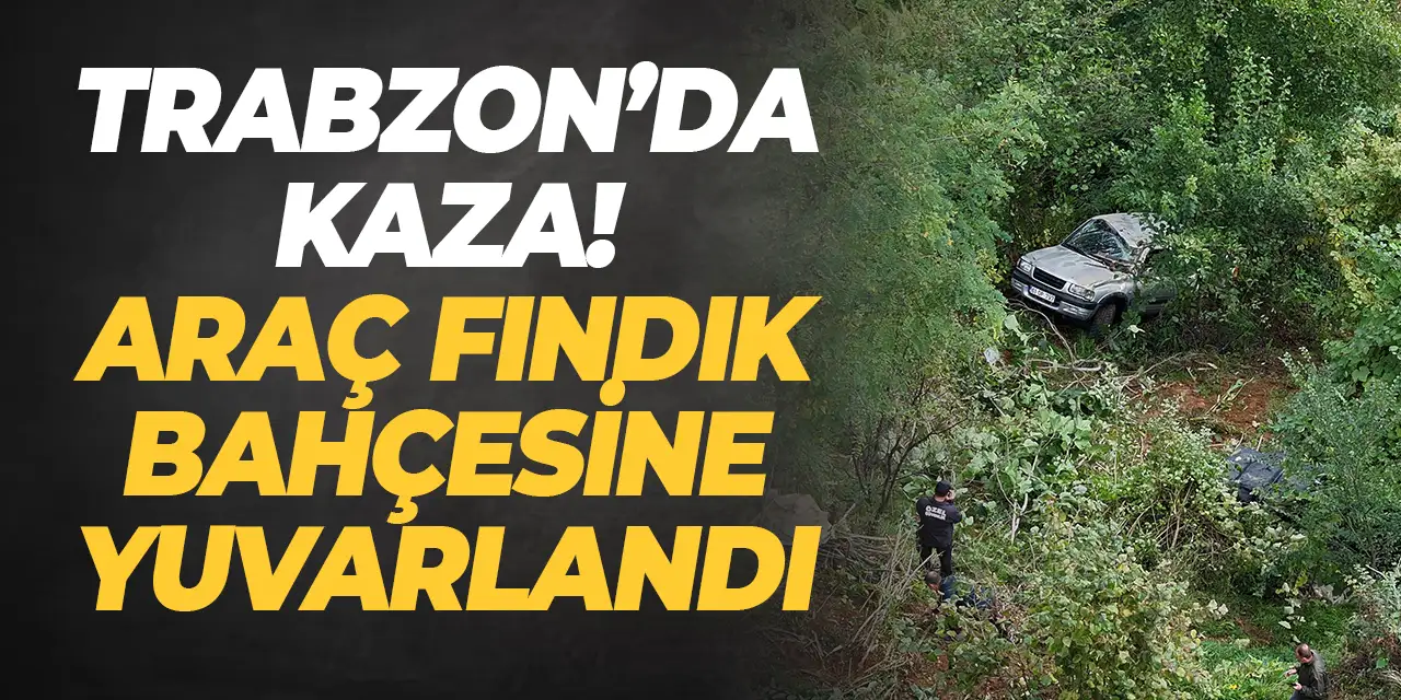 Trabzon'da kontrolü kaybetti kendini fındık bahçesinde buldu! ucuz atlatıldı