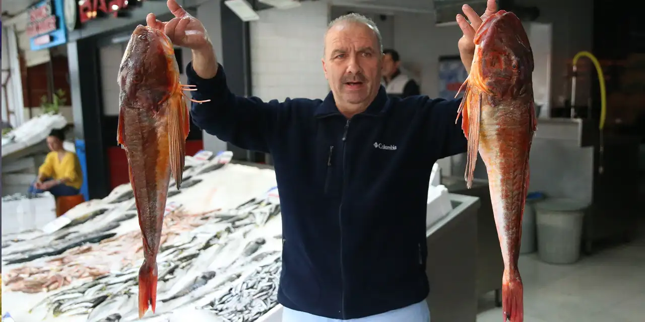 Ordu'da kırlangıçların ağlara takılması balıkçıları sevindiriyor!