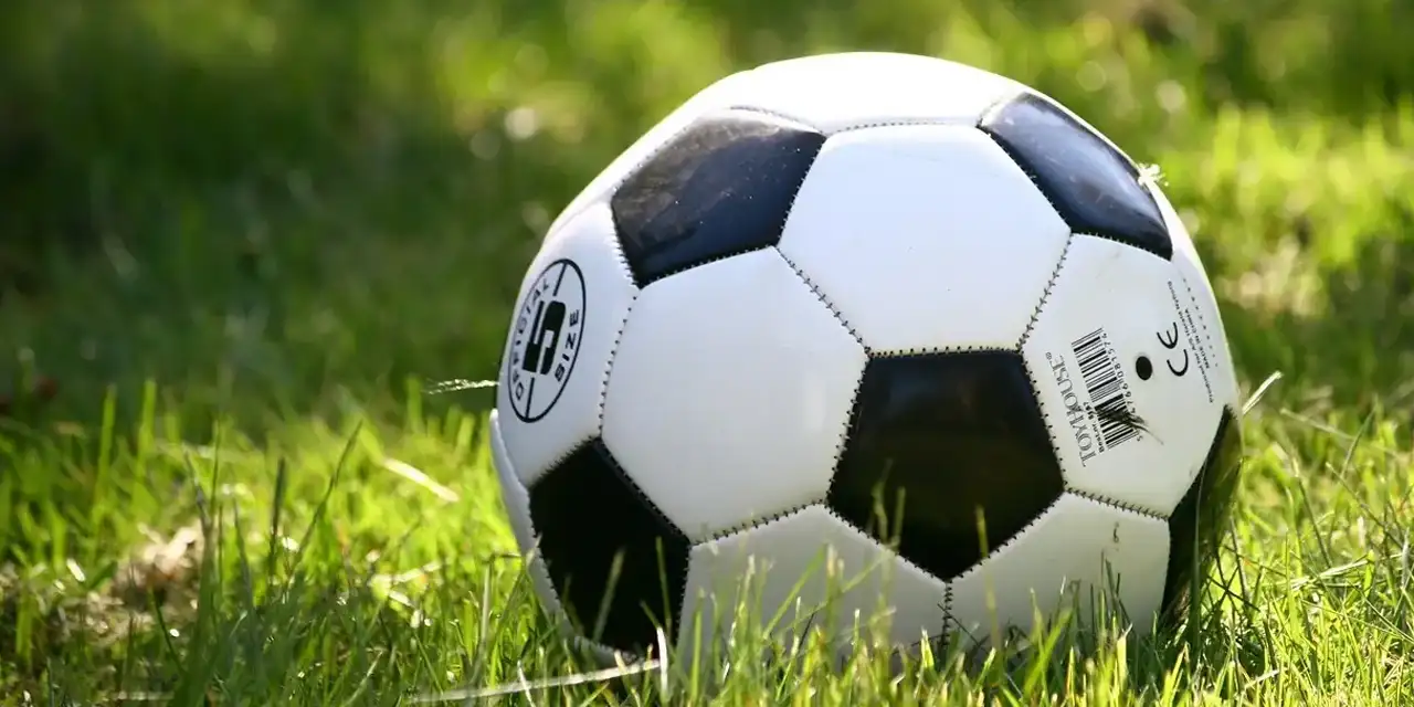 FSCB – Young Boys maçı: Ulusal arenada randevu