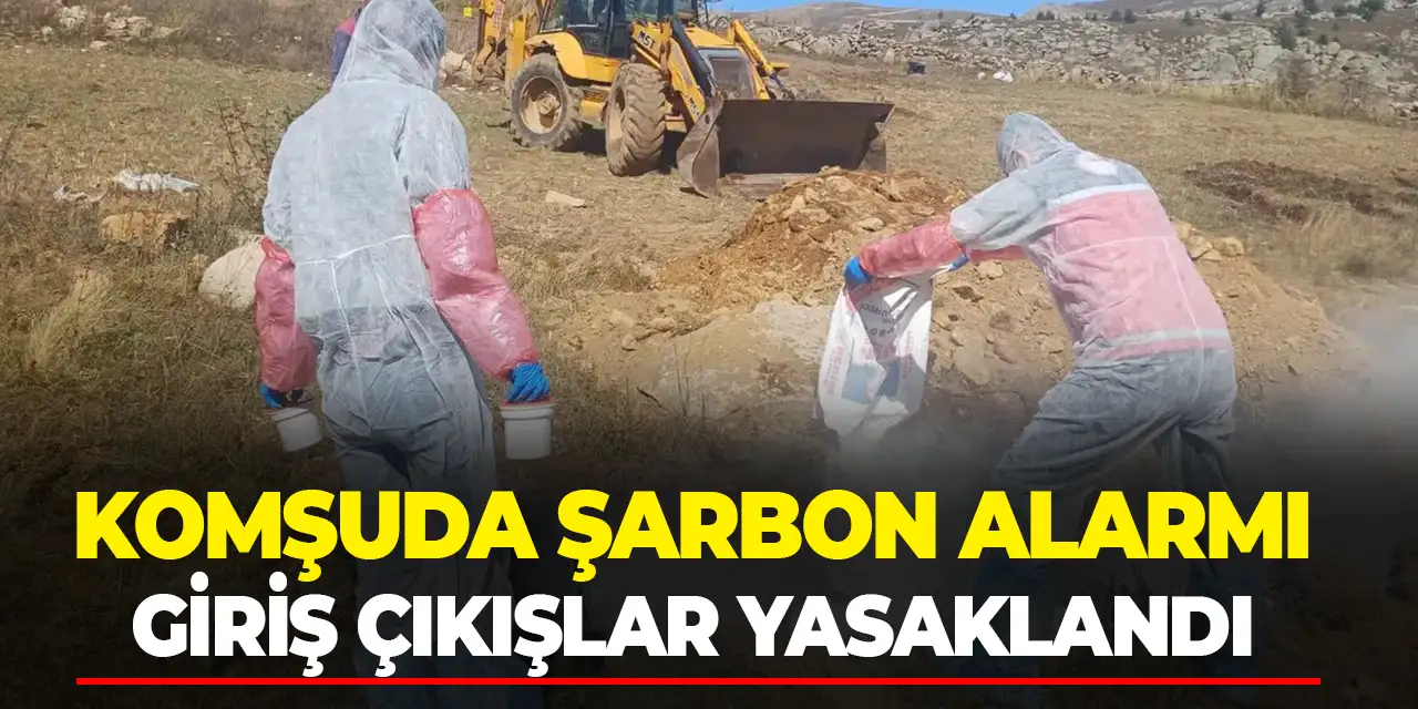 Şarbon alarmı! Gümüşhane'de 6 köye giriş çıkış yasaklandı!