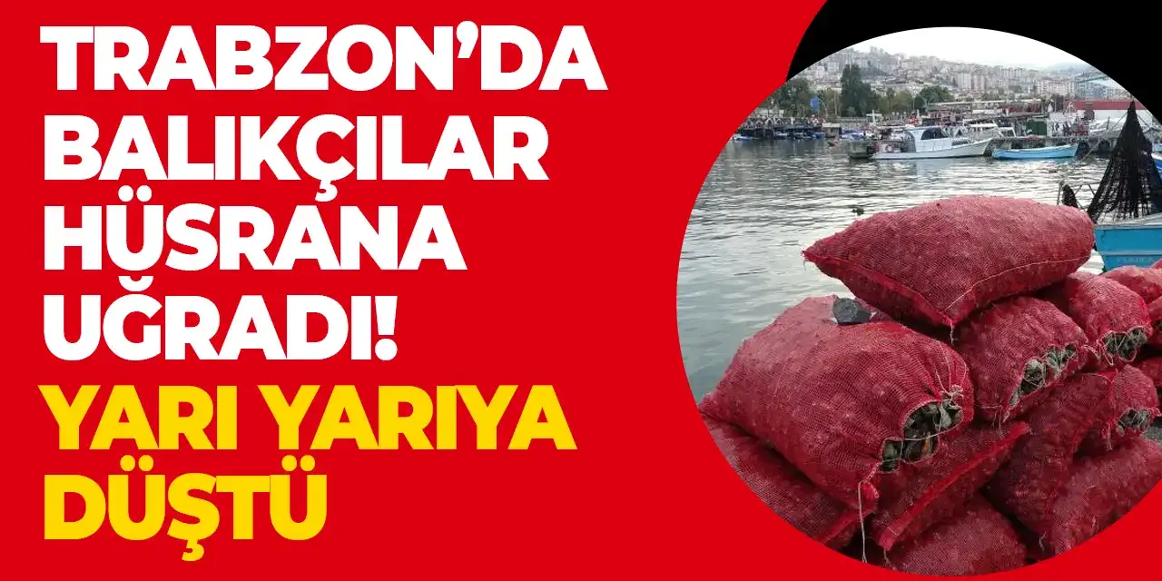Trabzon’da balıkçılar hüsrana uğradı! Yarı yarıya düştü