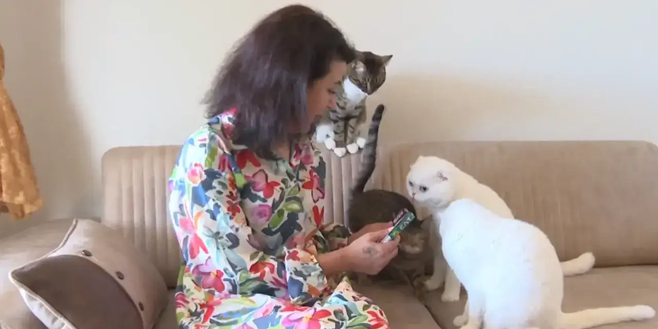 Trabzonlu hayvansever aralarında görme engeli de bulunan kedilere bakıyor!