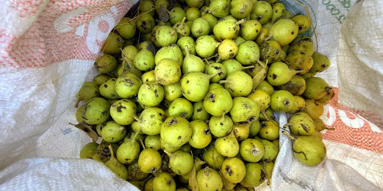 Bayburt’ta yöresel yiyecekler tezgahlardaki yerini aldı!