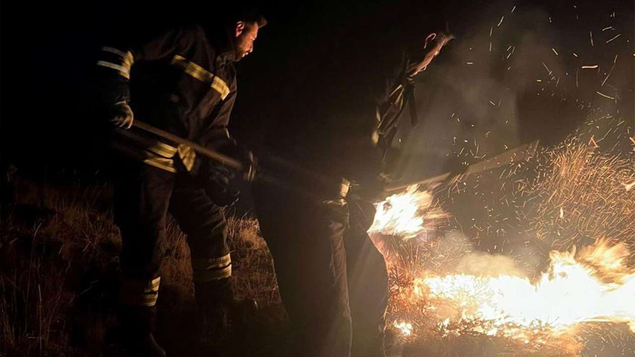 Erzincan-Gümüşhane yolunda örtü yangını paniği