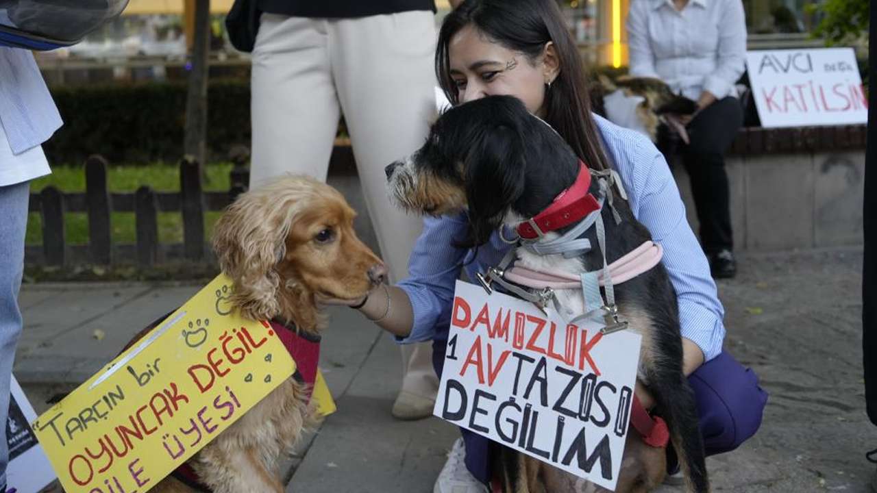 Gümüşhane’de hayvanseverlerden anlamlı yürüyüş
