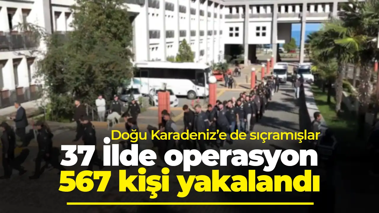 Giresun ve Rize dahil 37 ilde operasyon!