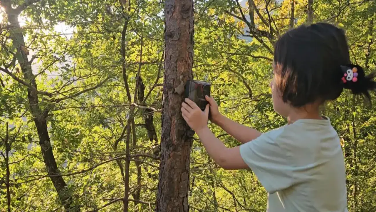 Artvin'de 5 yaşındaki Bensu fotokapanla doğal ortamları görüntülüyor!