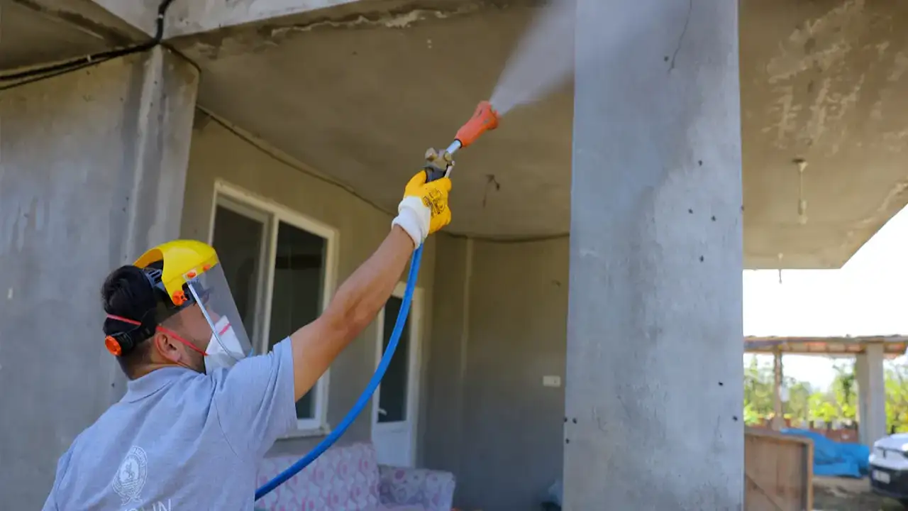 Samsun'da kahverengi kokarcaya karşı mücadele sürüyor!