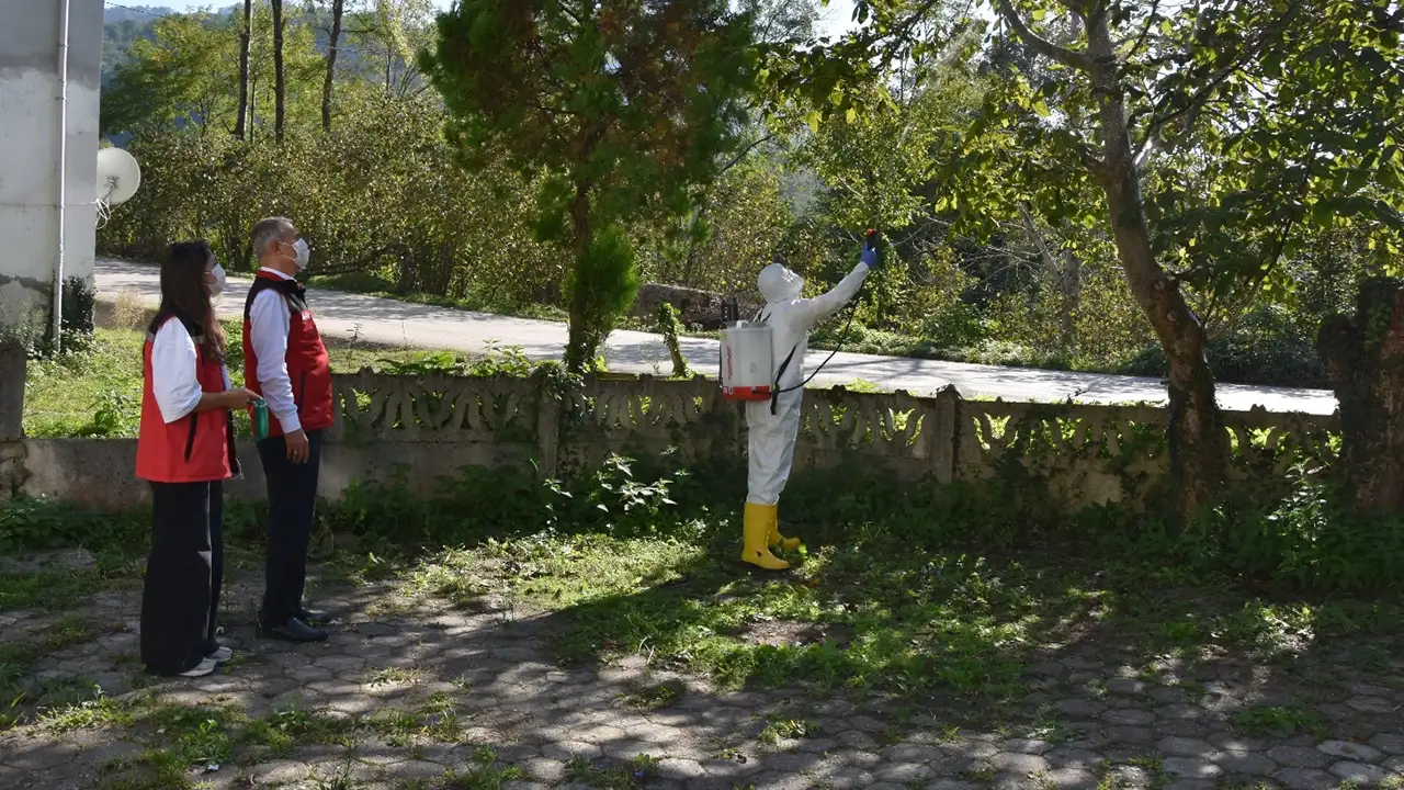 Ordu’da kahverengi kokarcaya karşı seferberlik: 20 bin tuzak, 4 bin litre ilaç dağıtıldı