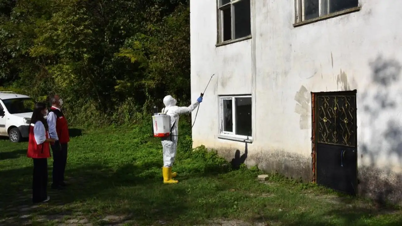 Ordu'da fındığın düşmanı kahverengi kokarca ile mücadele sürüyor!