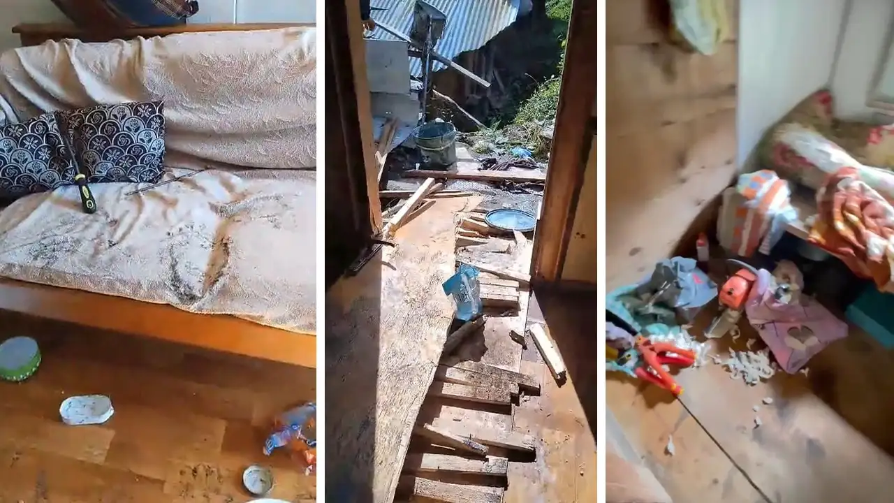 Rize’de aç kalan ayılar 8 köy evini harap etti!